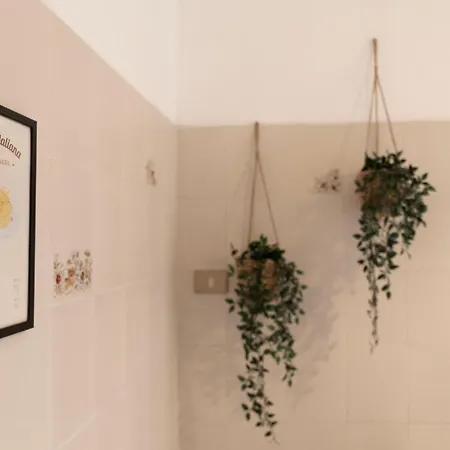 Annmarie House, Vaticano - Cipro * Róma